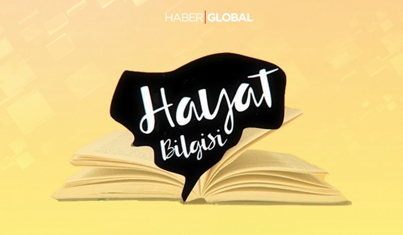 Hayat Bilgisi