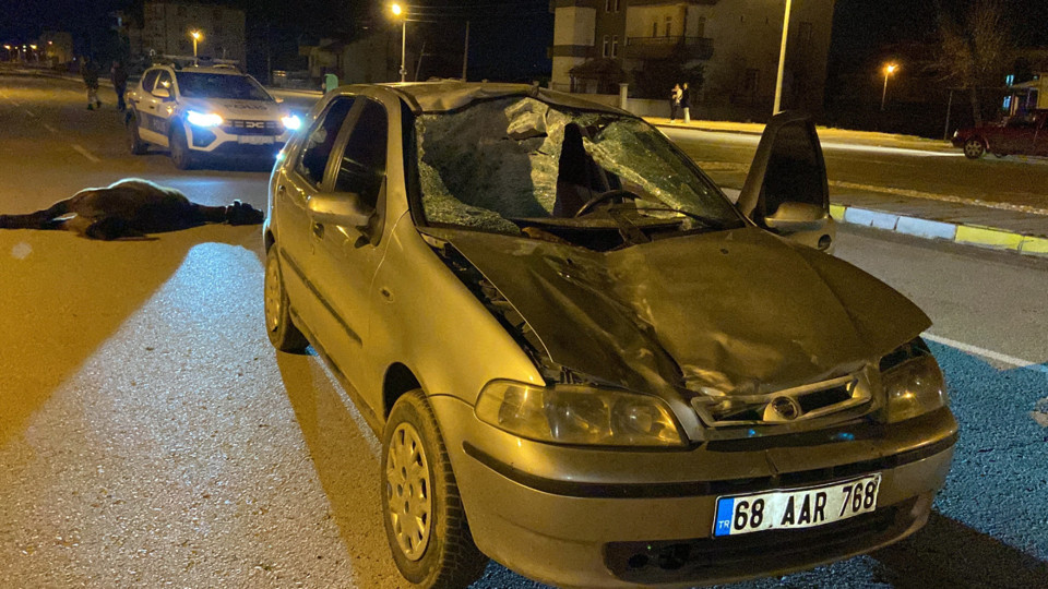 Aksaray'da otomobil başıboş ata çarptı