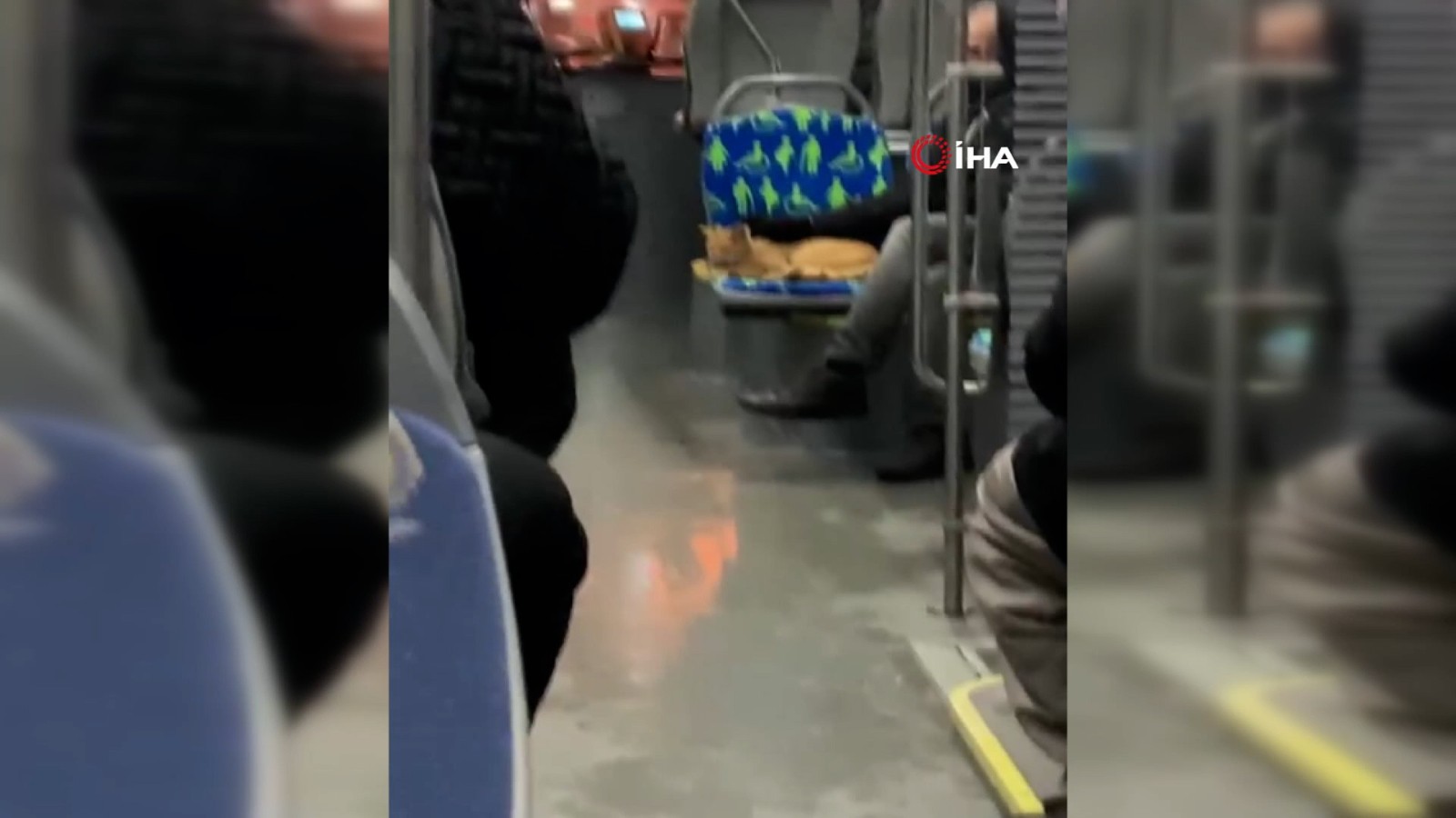 Yağıştan kaçan kedi İETT ile seyahat etti 1 yagistan kacan kedi iett ile seyahat etti Id1f