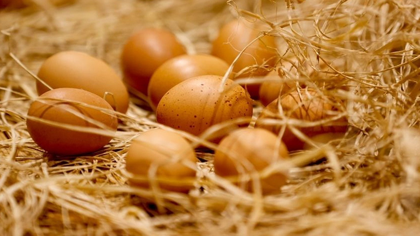 Yumurta fiyatı kaç TL oldu? 4 Yumurta fiyatları ne kadar