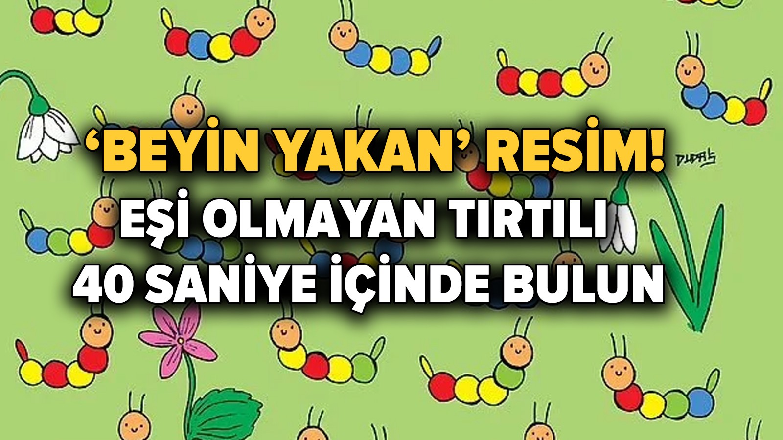 Sosyal medyanın konuştuğu beyin yakan resim... Bu bulmacayı çözebilecek kişiler aranıyor! 1 Sosyal medyanın konuştuğu beyin yakan resim… Bu bulmacayı çözebilecek kişiler aranıyor!