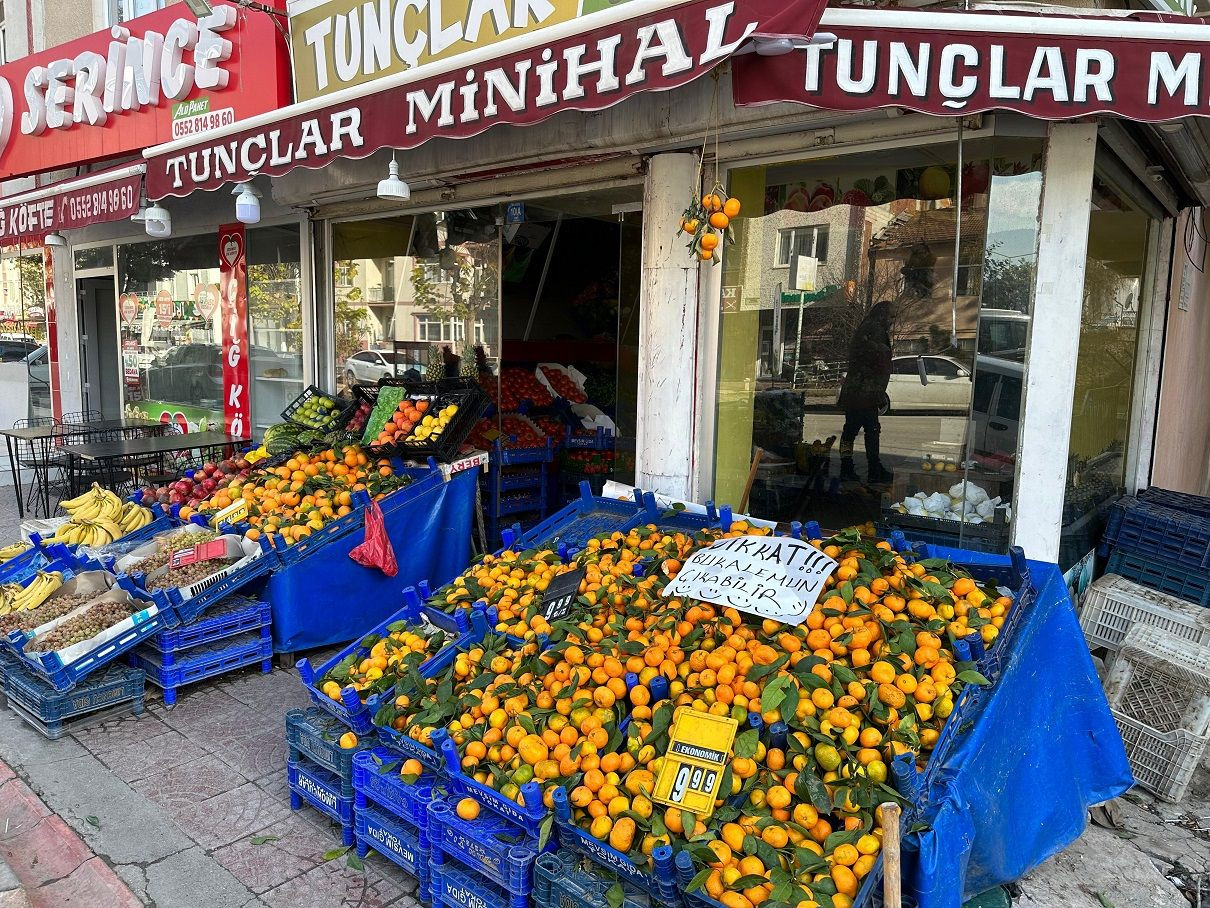 Manavdan aldığı mandalinaların arasından bukalemun çıktı - Resim: 6