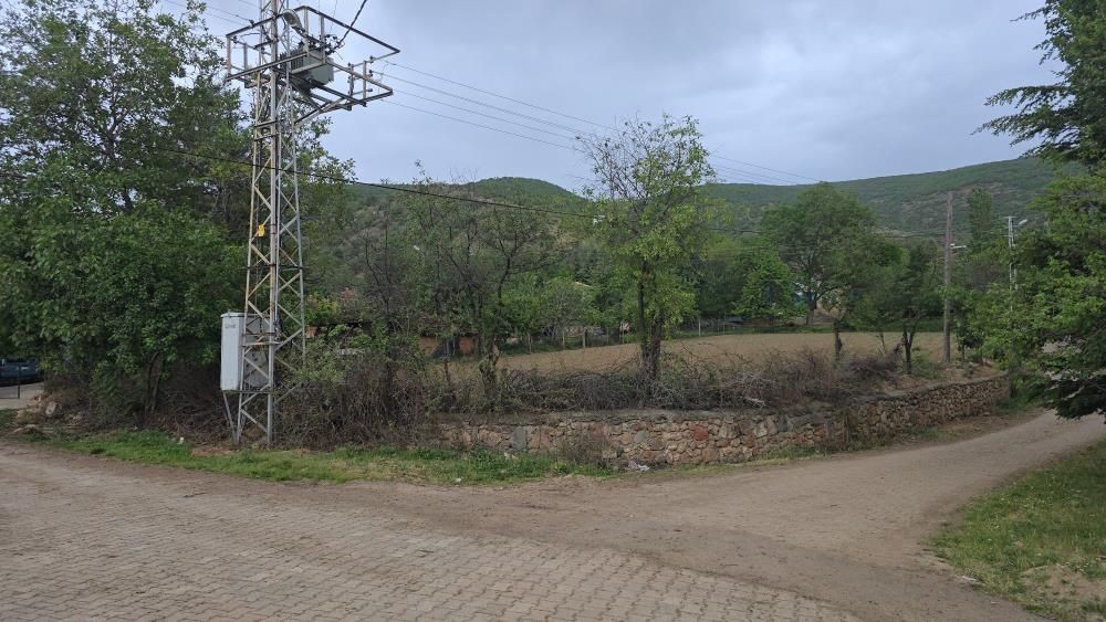 Tokat'ın bir köyünü kene bastı: Bölge sakinlerinden yetkililere yardım çağrısı - Resim: 4