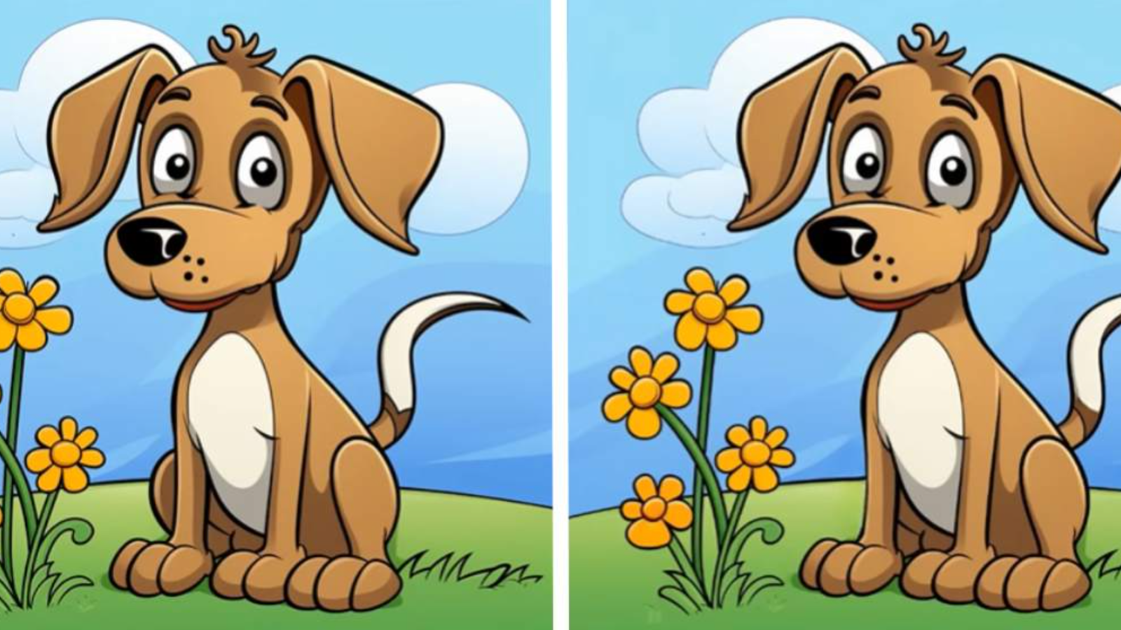 Çiçeklerin yanında duran iki köpek arasındaki 3 farkı sadece dâhiler 14 saniyede bulmayı başarıyor