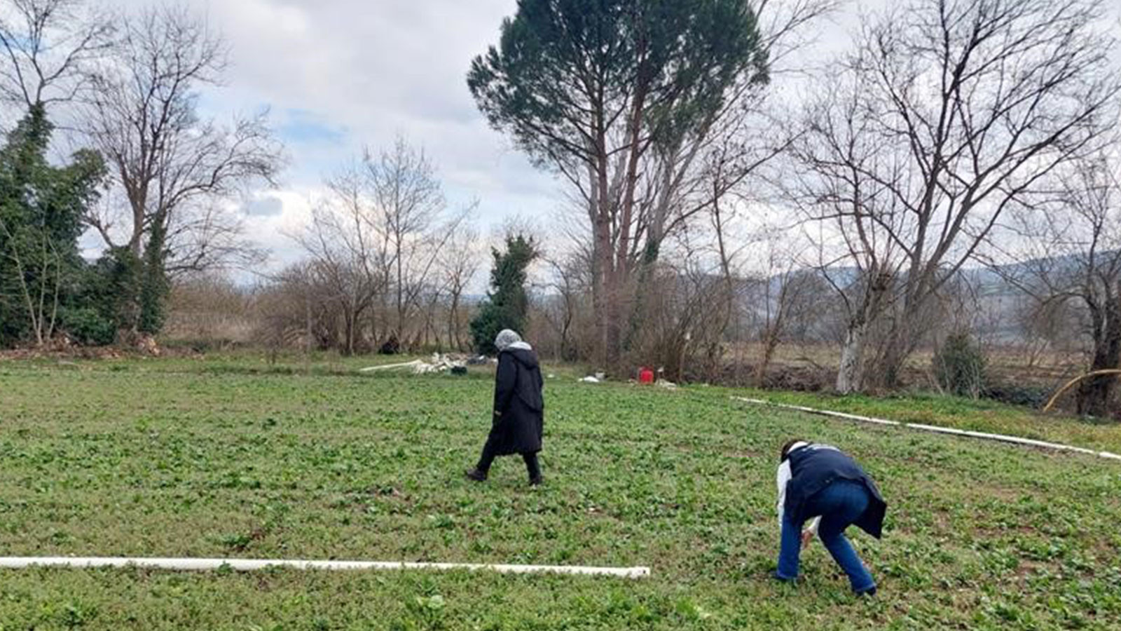 Ispanak, kimyon, kekik, nane, adaçayı ve diğerleri… Bitkisel ürünlerdeki tehlikeye dikkat!