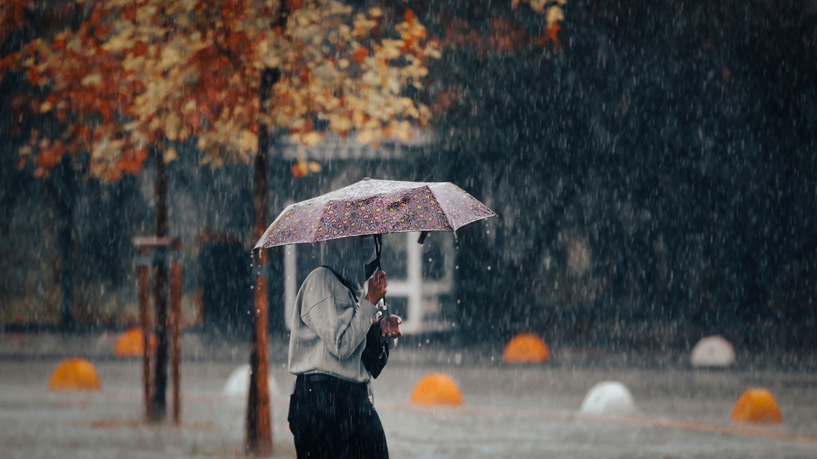 dikkat-meteoroloji-uyardi-bu-kentlere-bardaktan-bosalircasina-yagmur-yagacak-z3ol.jpg