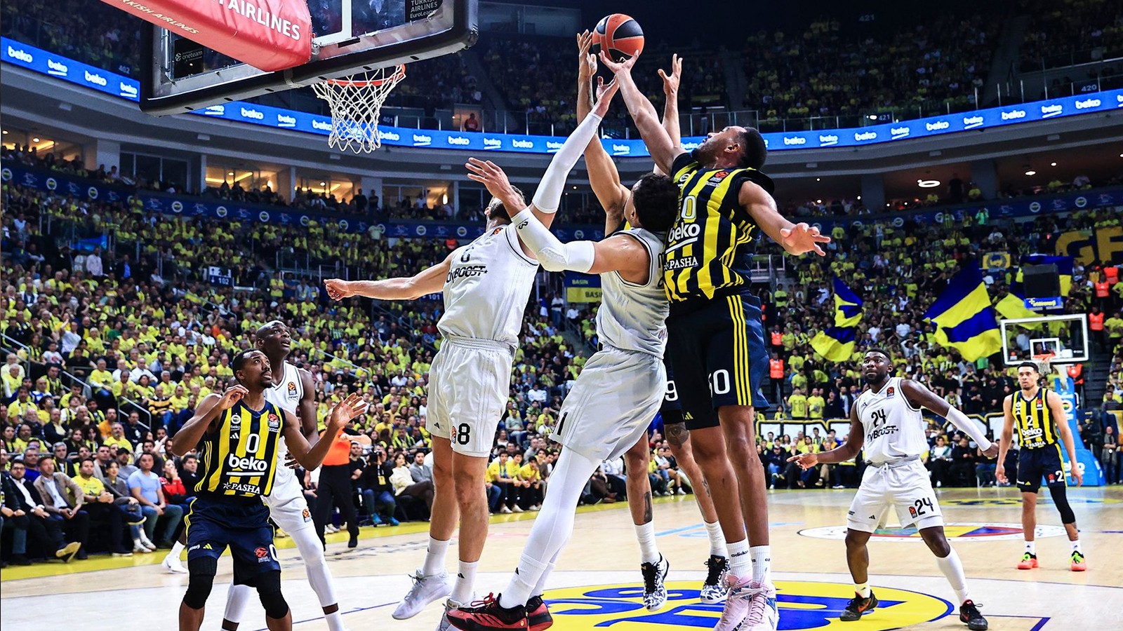 Fenerbahçe Beko Panathinaikos maçı ne zaman, saat kaçta, hangi kanalda?