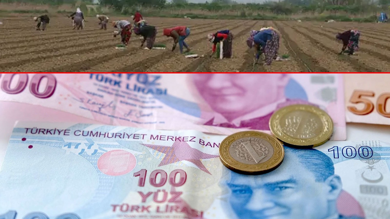 Konya'da tarım işçilerinin günlük yevmiyesi belli oldu