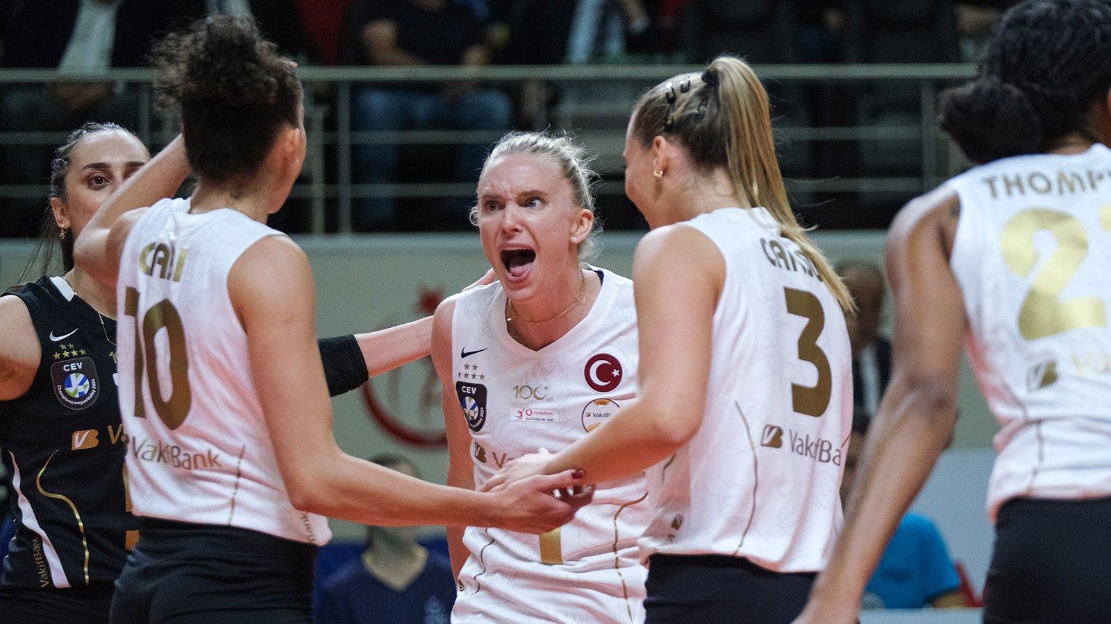 VakıfBank Kadın Voleybol Takımı, Ali Frantti ile yollarını ayırdı