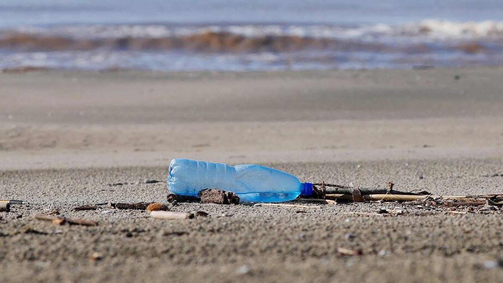 Canlı türleri yok oluyor, plastik atık sorunu büyüyor