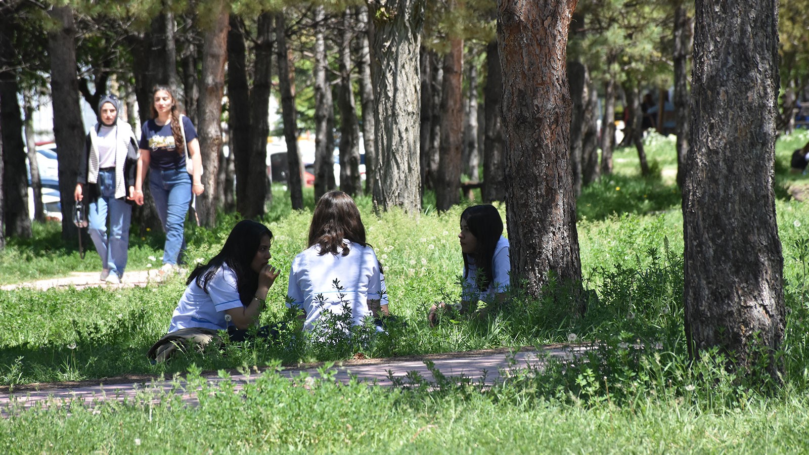 Keneden buşalan Kırım Kongo Kanamalı Ateşi için 'mRNA aşısı' umudu