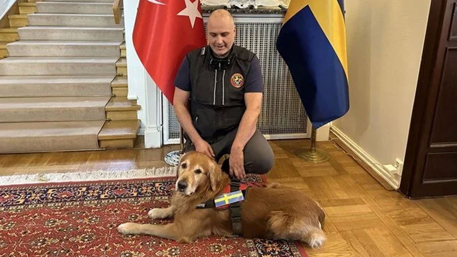 Türkiye'de göçük altında 18 kişiyi kurtarmıştı: İsveç'in kahraman köpeği hayatını kaybetti thumbnail