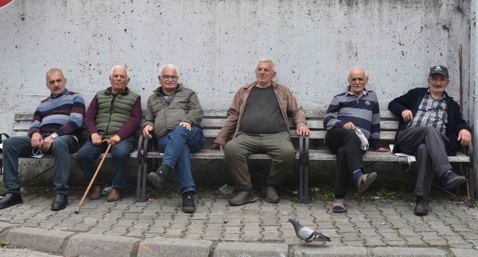 Sarp ve Sarpi... Sınır ayırsa da gönüller bir! - Resim: 2