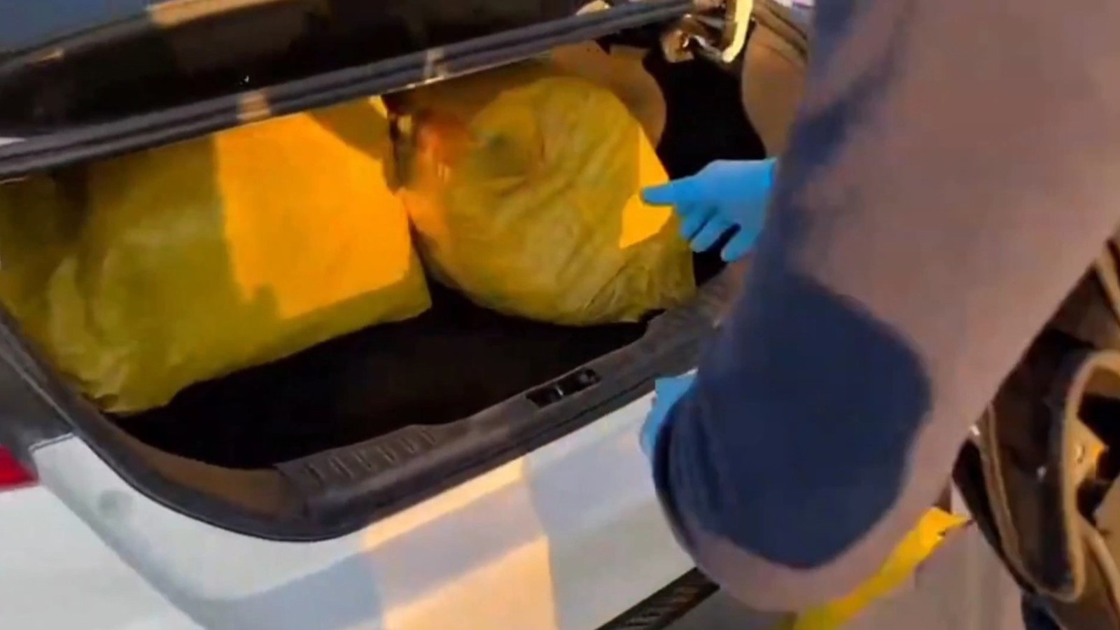 Şanlıurfa'da 35 kilogram skunk ele geçirildi: 1 gözaltı thumbnail