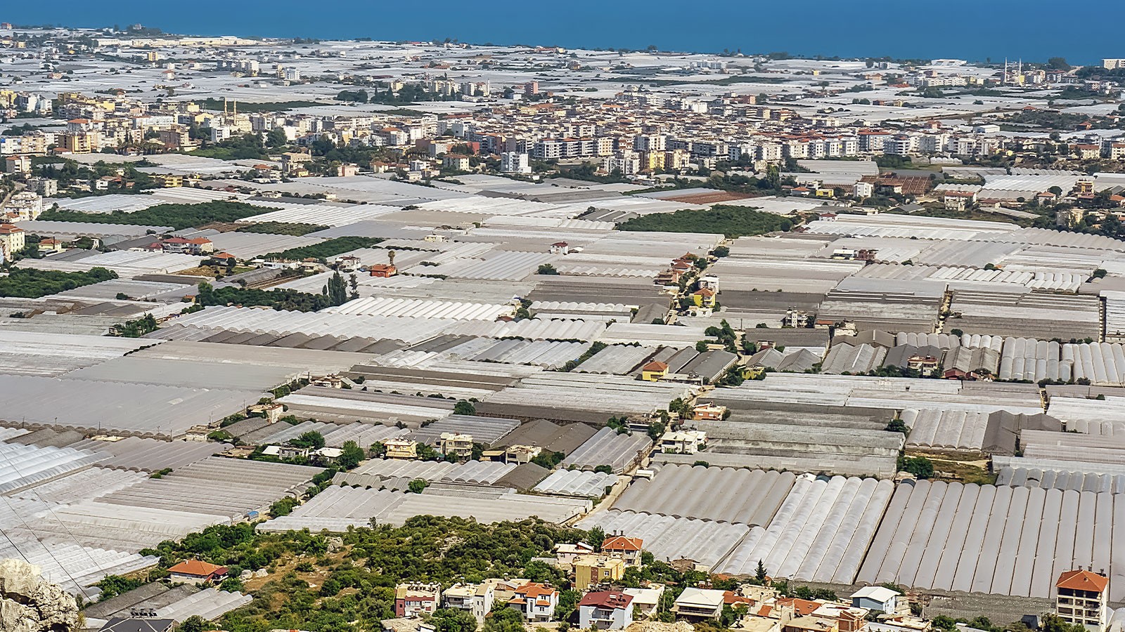 Topraklara göz diktiler, tohum savaşında hedef Antalya