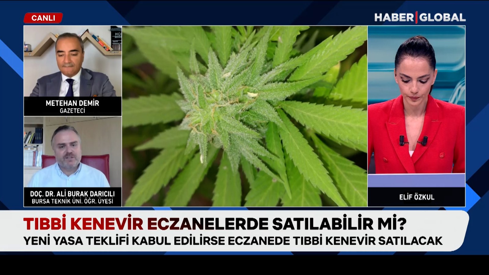 Tıbbi kenevir eczanelerde satılabilir mi? thumbnail