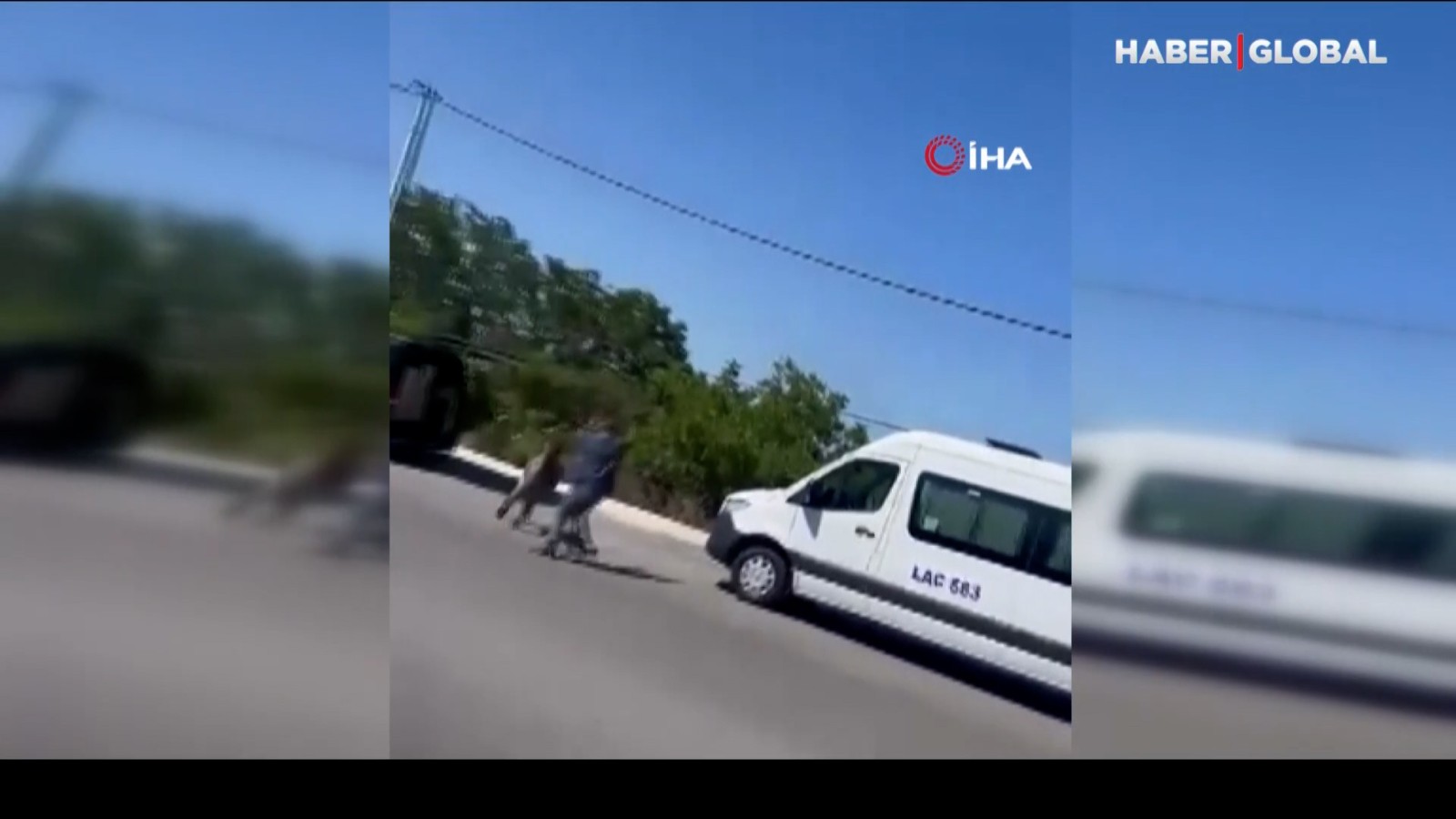 Başıboş eşek mahalleyi birbirine kattı