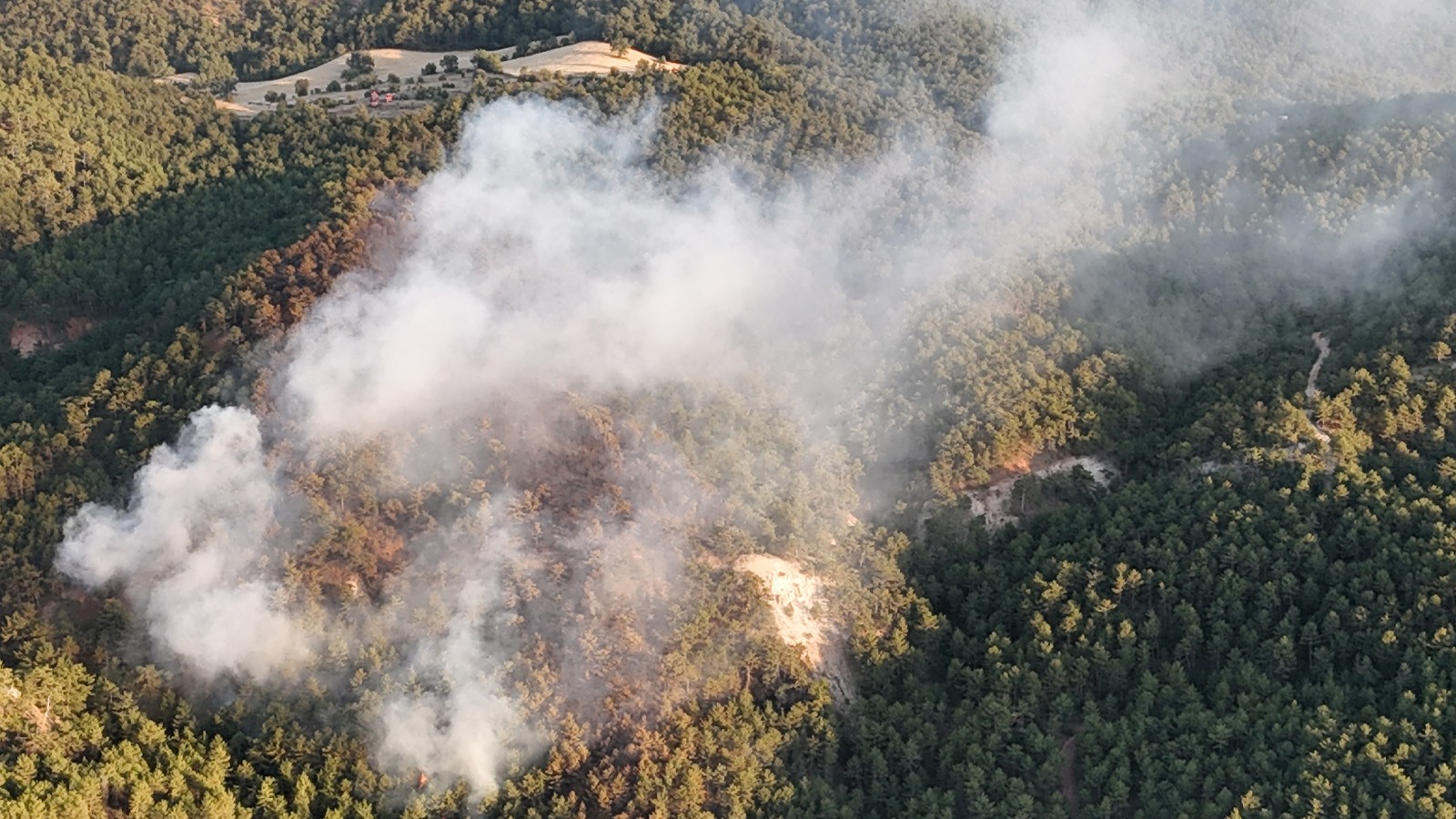 Bolu'da orman yangını