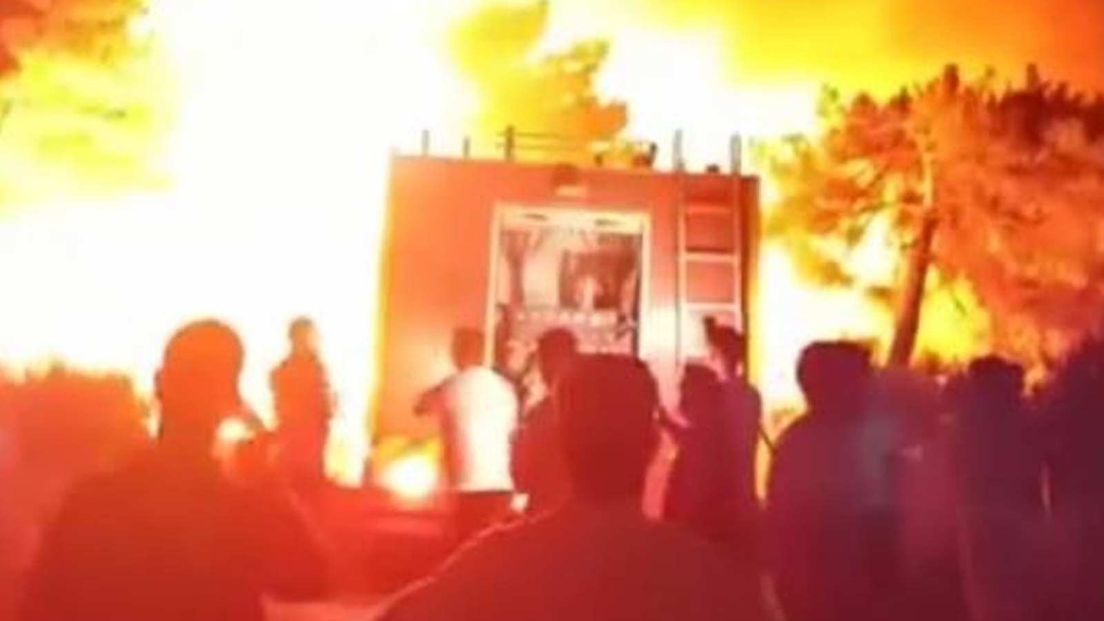 Hatay'da orman yangını