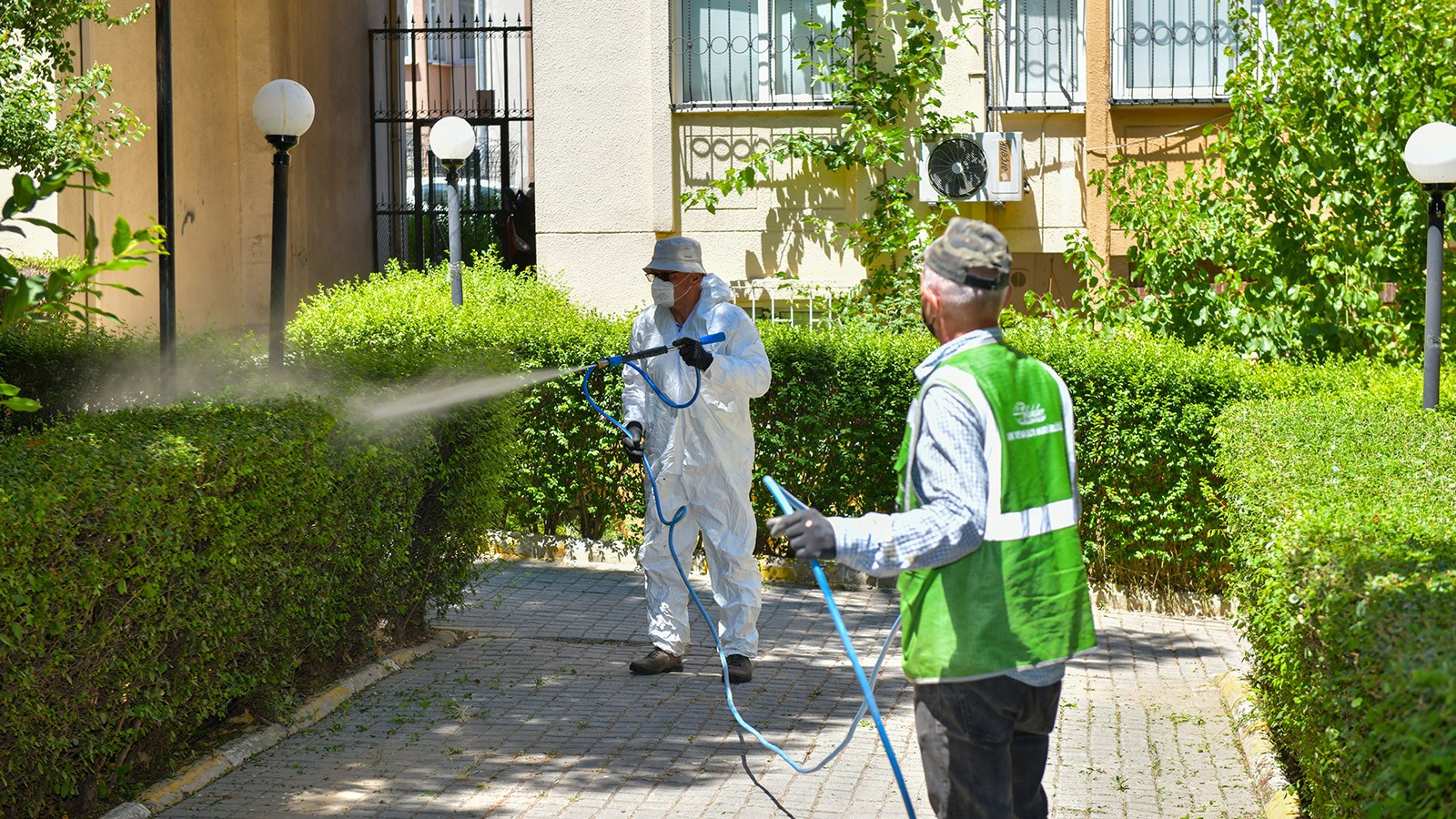 Esenyurt Belediyesi’nden ağaçlara teke böceği kalkanı