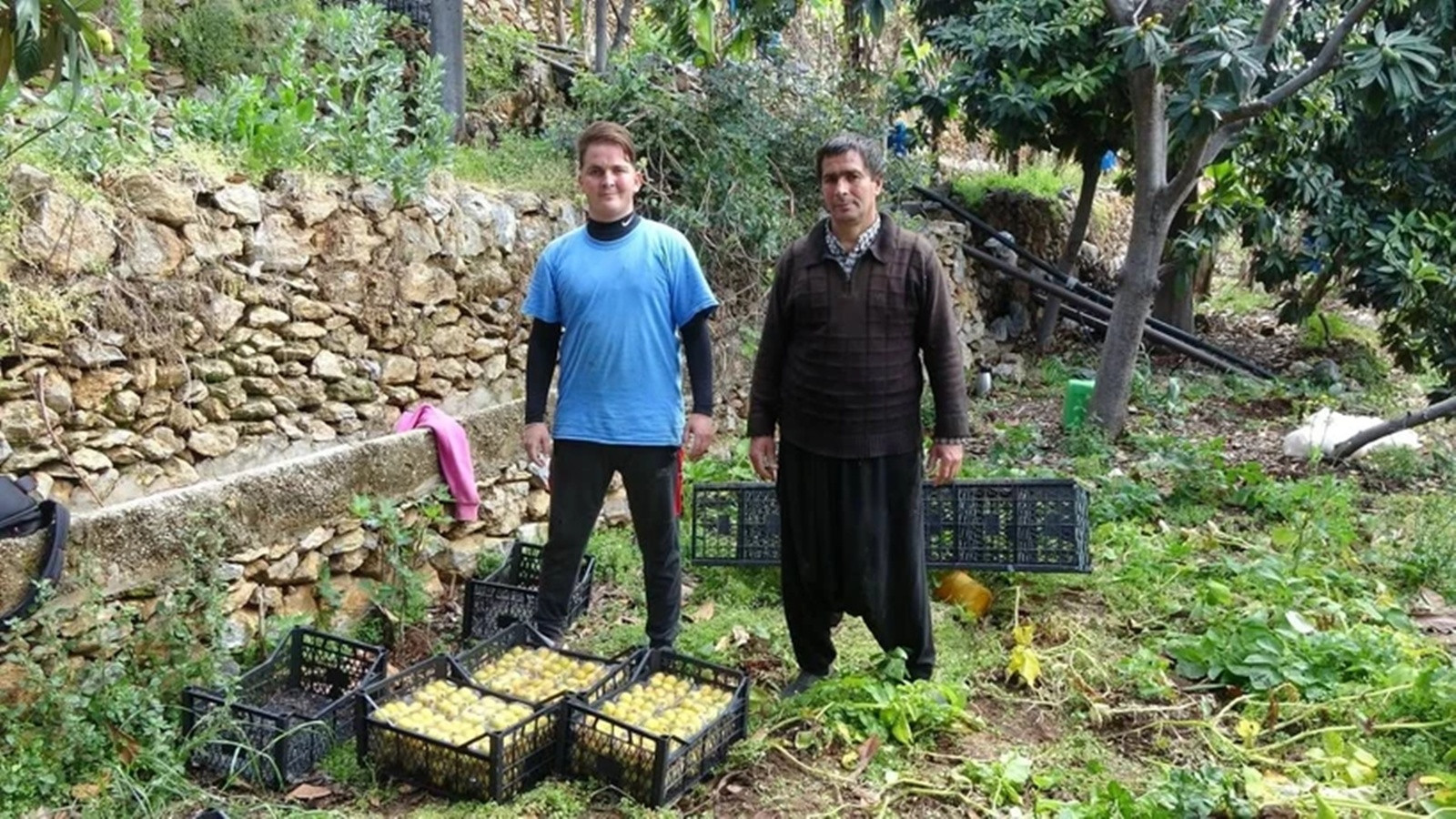 Kilosu 150 TL’ye Kadar Çıkıyor! Alanya'nın Meşhur Meyvesi Tezgahlarda Kilosu 150 TL’ye Kadar Çıkıyor! Alanya'nın Meşhur Meyvesi Tezgahlarda