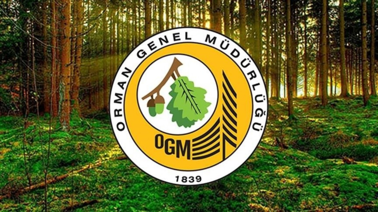 Orman Genel Müdürlüğünden Tekirdağ'daki orman yangınına ilişkin açıklama thumbnail