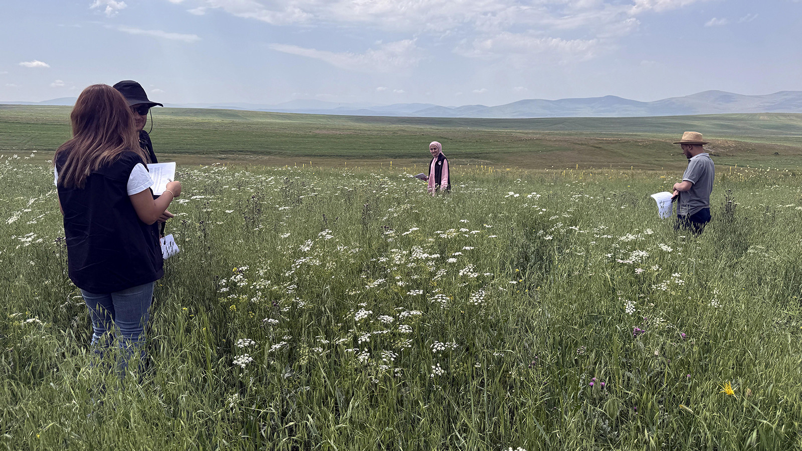 Ardahan’da ziraat mühendisleri sahada tarımsal ürün tespiti yaptı