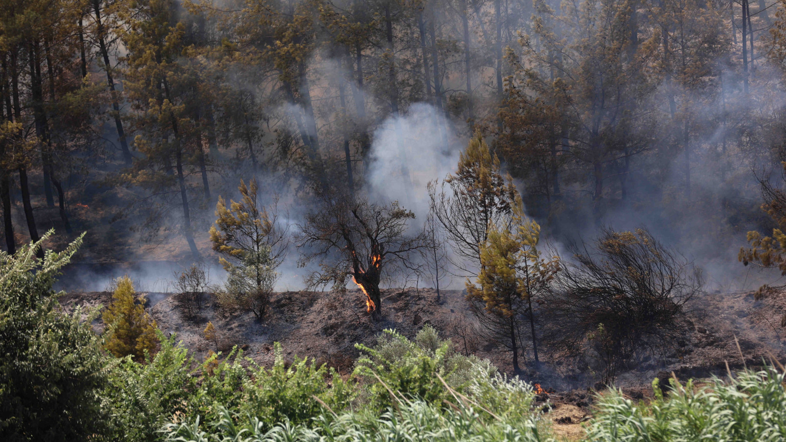 Perge Antik Kenti’yle ilgili açıklama