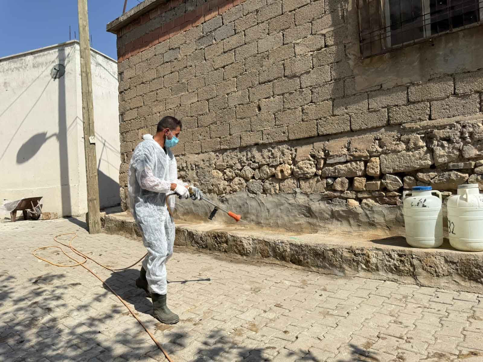 Bir ilde akrepler her yeri sardı! Vatandaşlar diken üstünde - Resim: 4