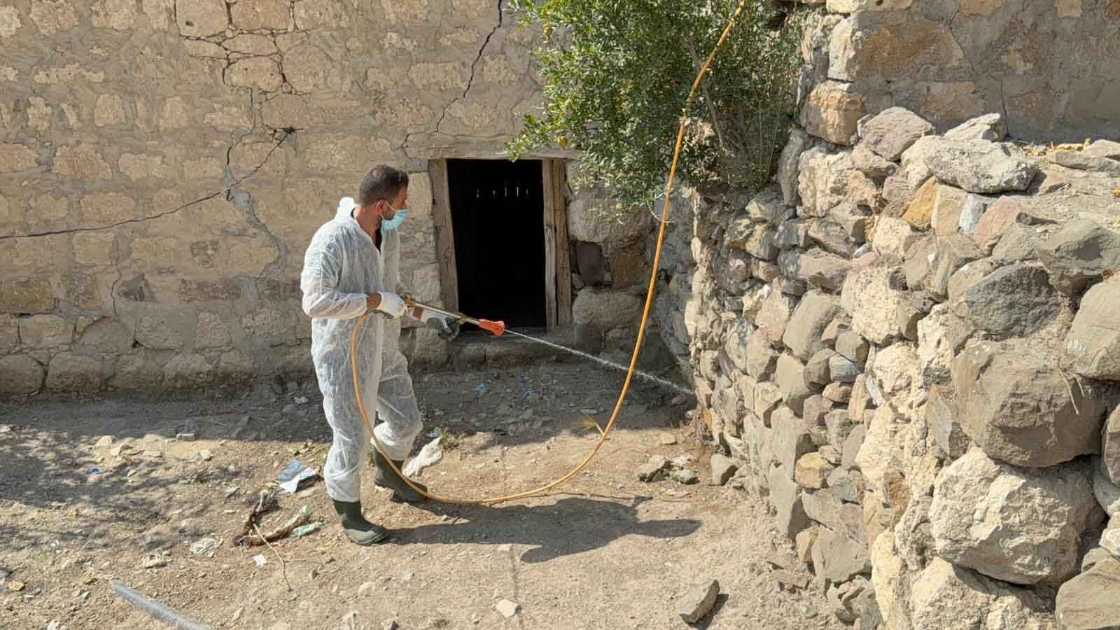 Bir ilde akrepler her yeri sardı! Vatandaşlar diken üstünde - Resim: 5