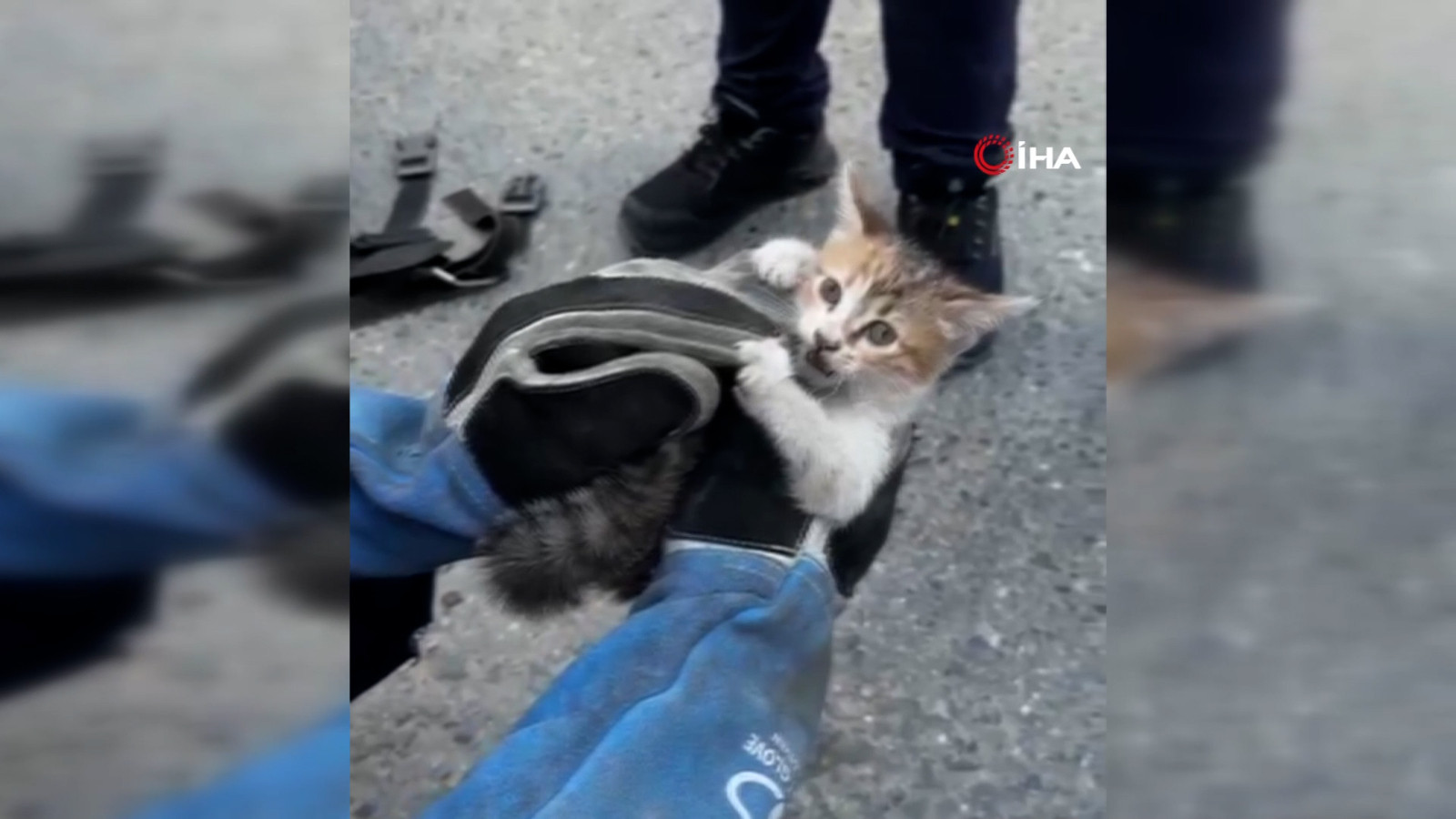 Gurbetçi aileye dönüşte sürpriz: Motor kısmından çıkarıldı