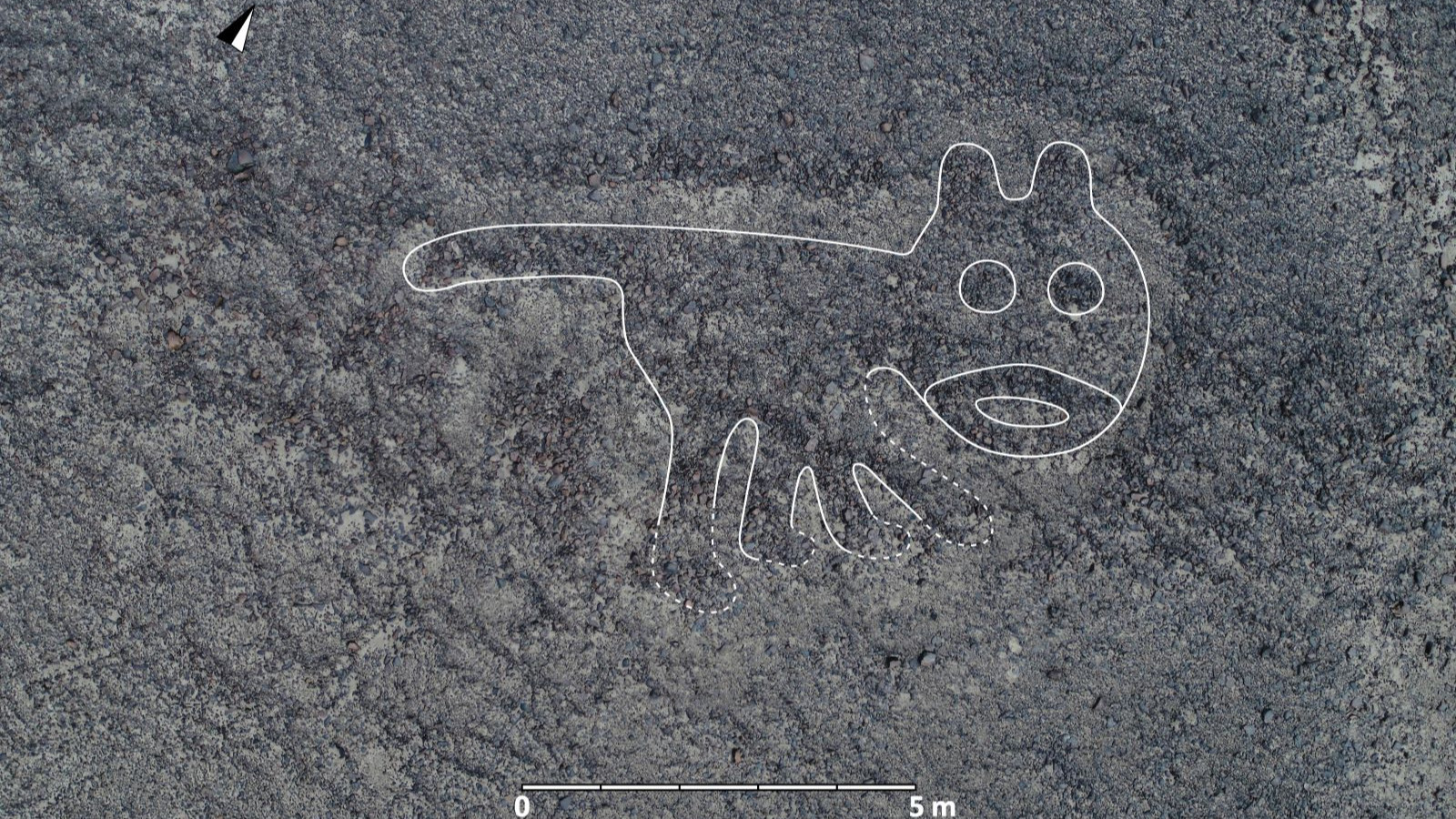 Yapay zeka esrarengiz Nazca Çizgileri'nde çarpıcı bir keşif yaptı
