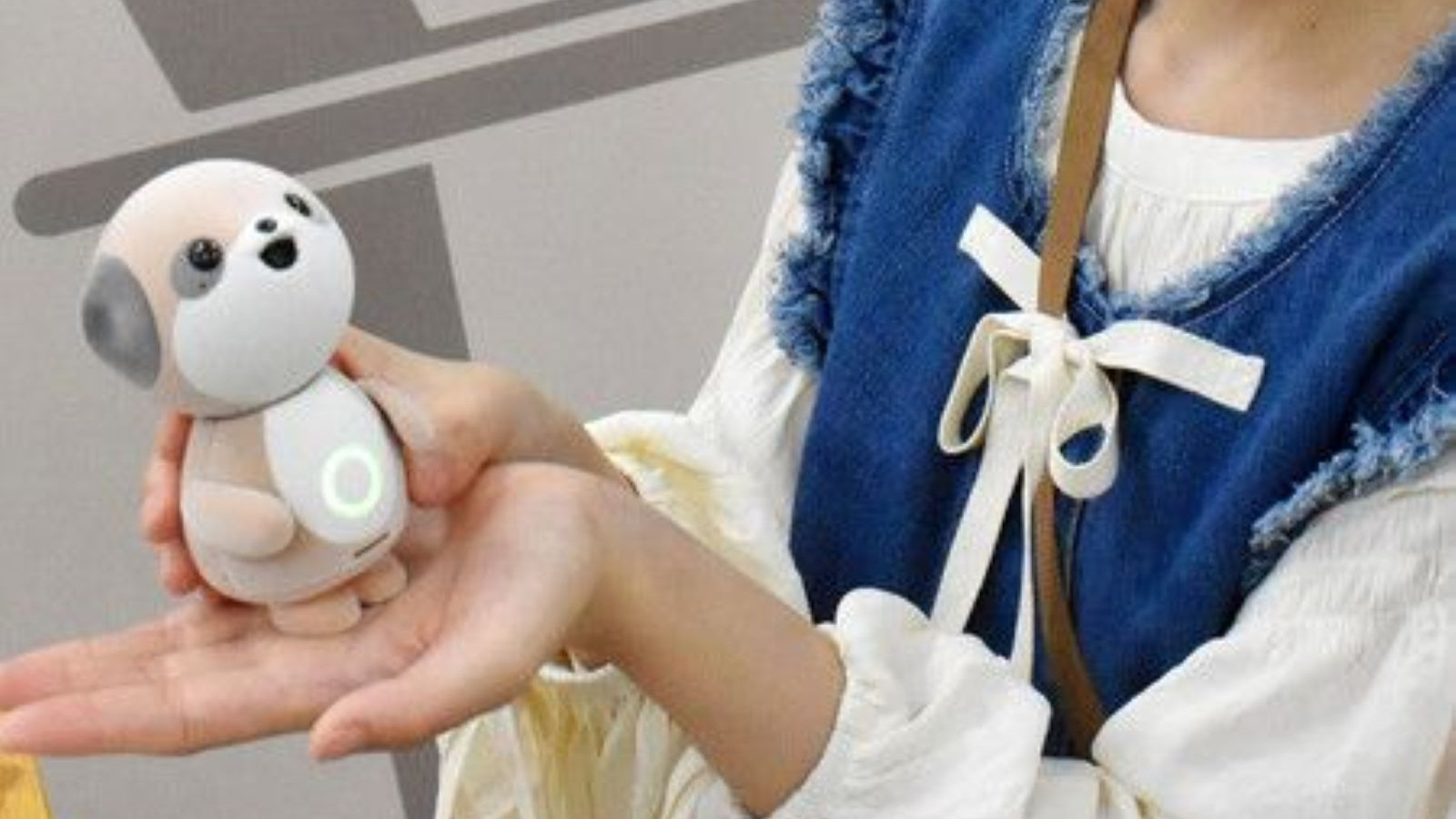 “Poketomo”: Cep boyutunda sahibiyle sohbet eden yapay zekâ robotu