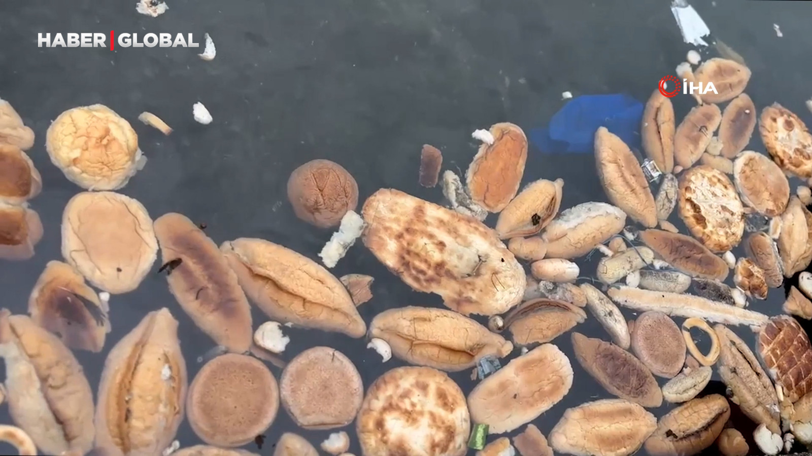 Rize’de yüzlerce ekmek, simit ve mısır ekmeğini denize döktüler