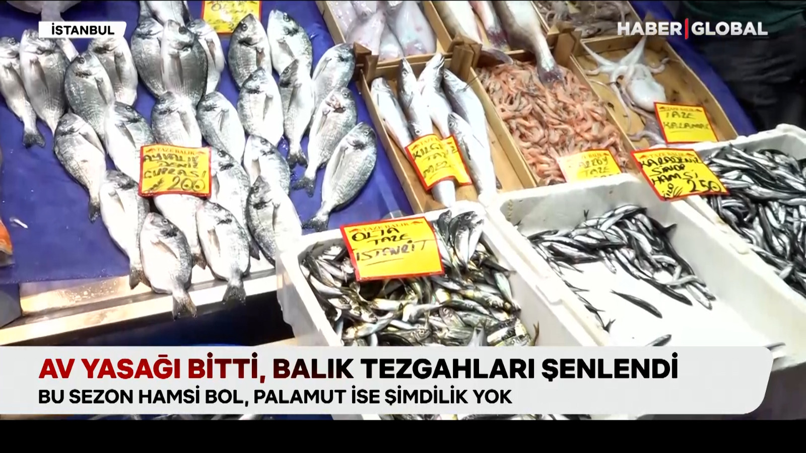 Av yasağı sona erdi, balık tezgahları şenlendi Av yasağı sona erdi, balık tezgahları şenlendi