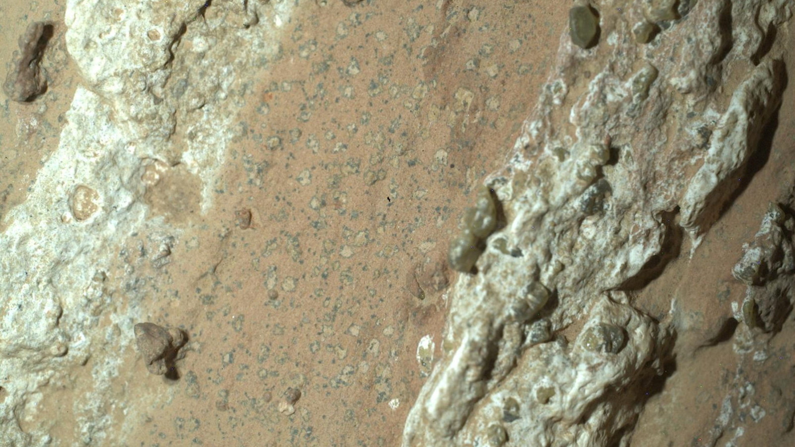 NASA: Mars'ta hayat var demiyoruz ama bir zamanlar olduğuna dair kanıt bulduk