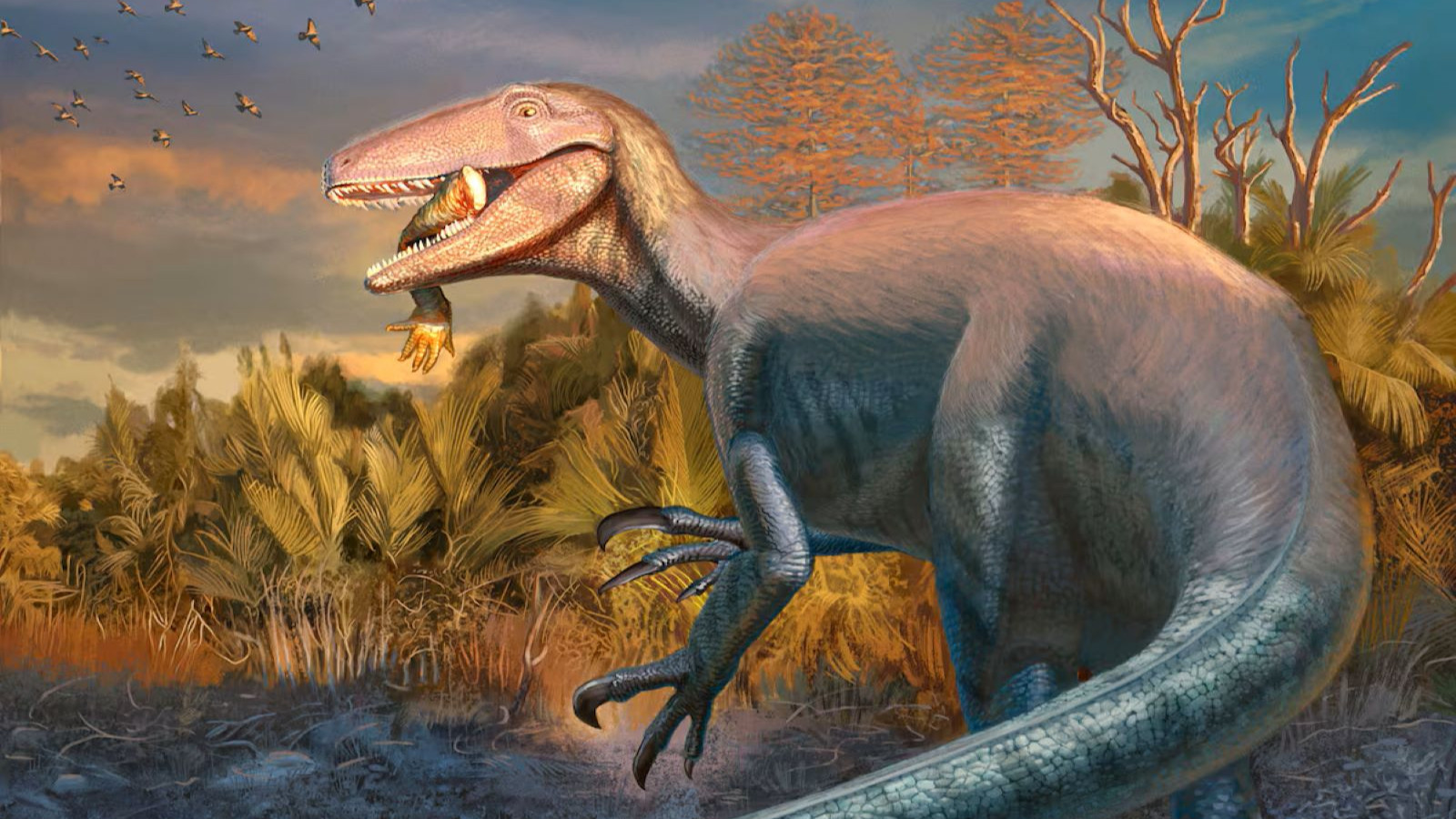 7 metre uzunluğunda 1 ton ağırlığında yeni bir etçil dinozor türü bulundu