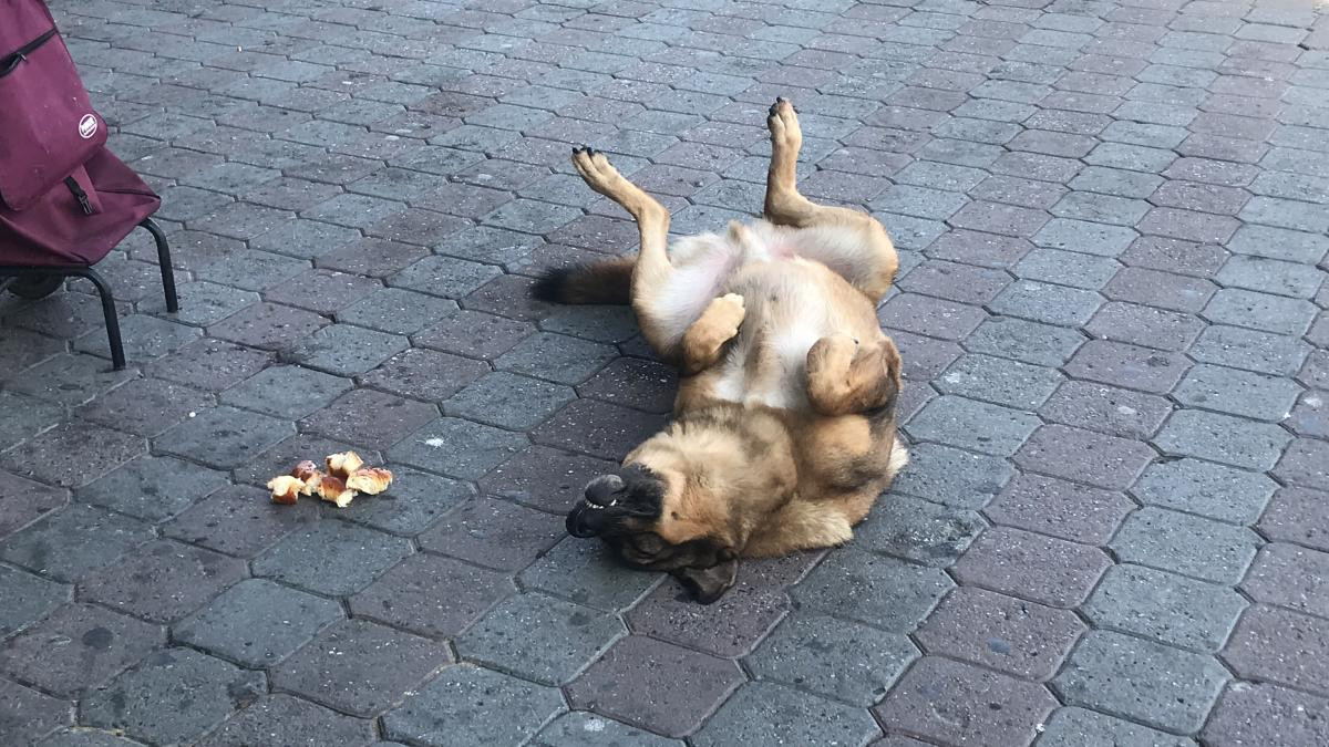 Taksim De 1 Kareye Sigan 3 Baslik Dram Sefkat Vefa